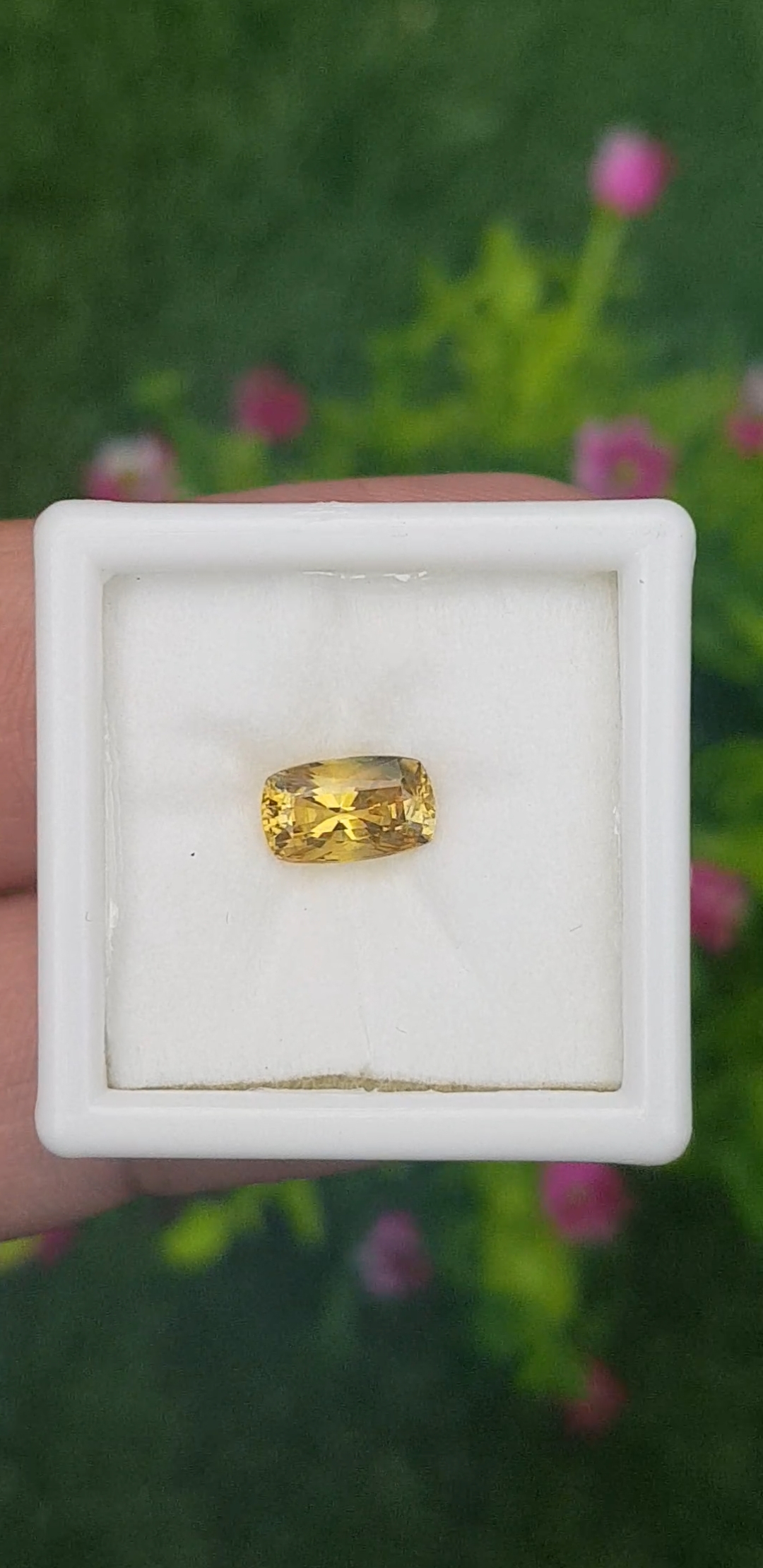 บุษราคัม (Yellow Sapphire)