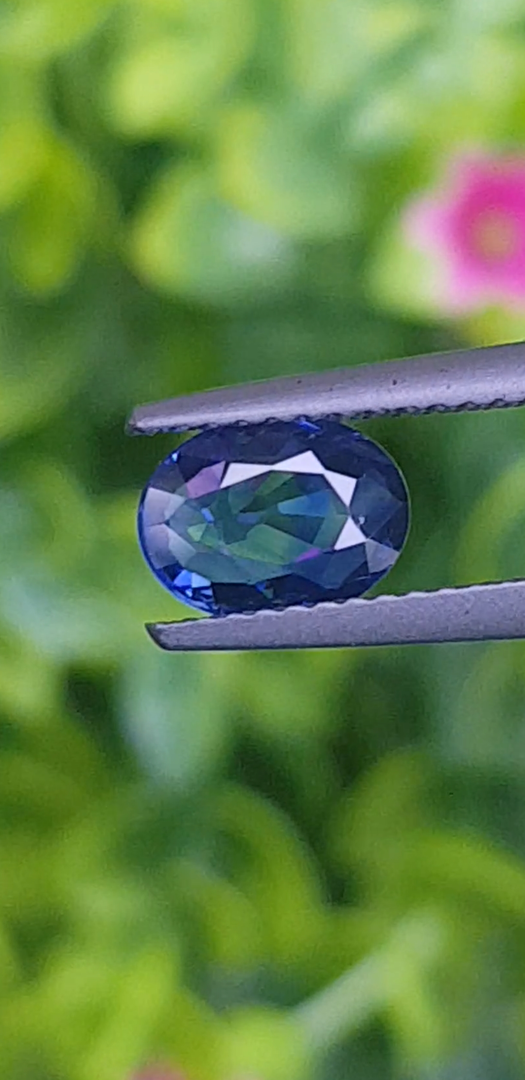 ไพลิน Natural Sapphire