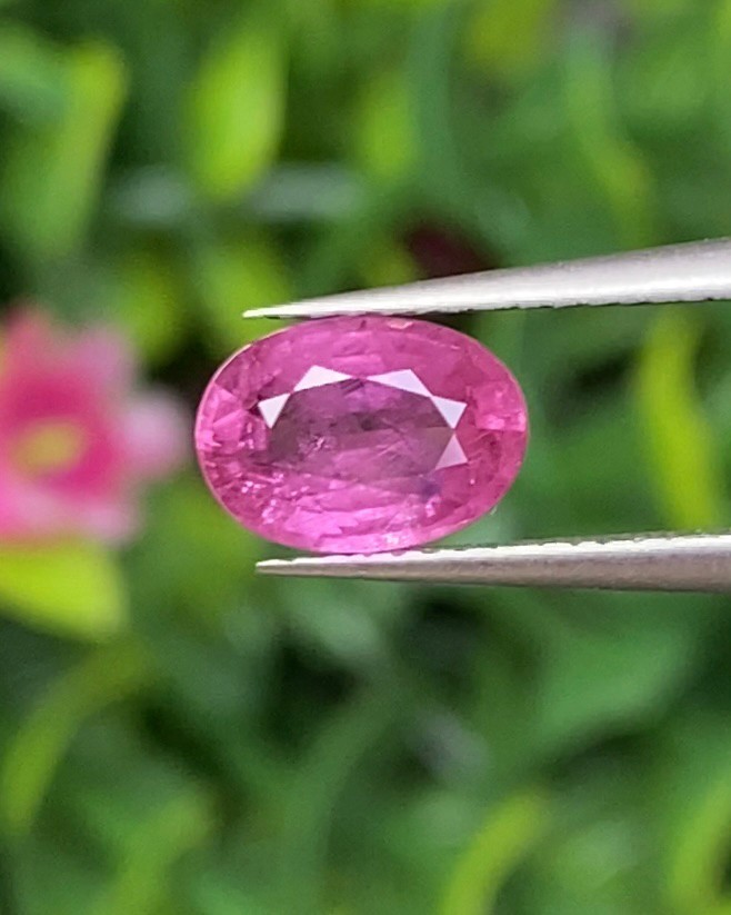 พลอย ชมพู Pink sapphire
