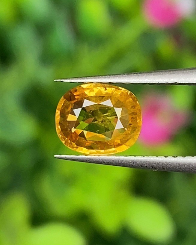 บุษราคัม (Yellow Sapphire)