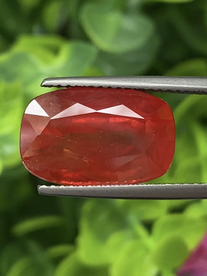 พลอย ซองเจีย Songea sapphire