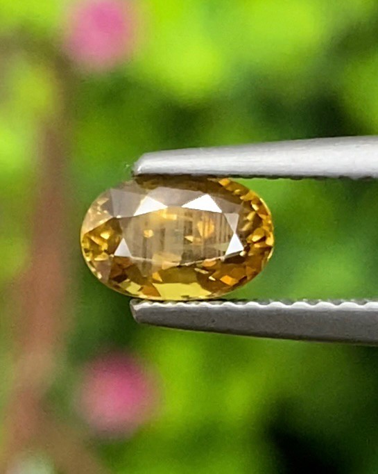บุษราคัม (Yellow Sapphire)