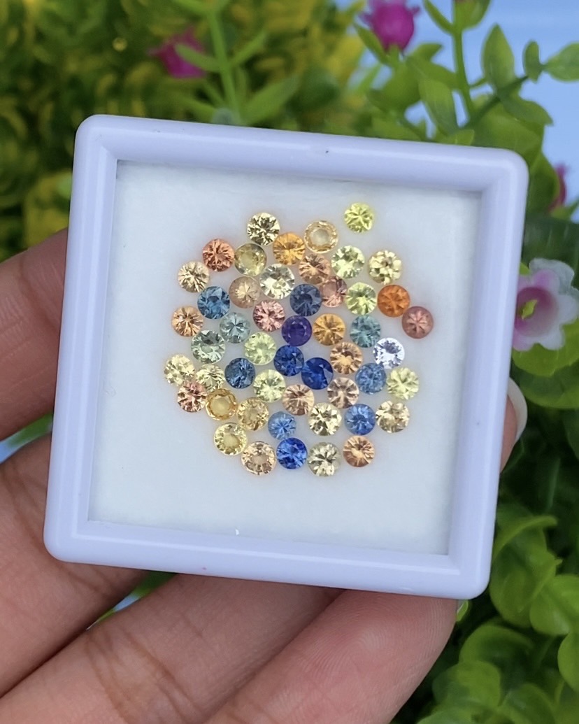 พลอย แฟนซี Fancy Sapphire