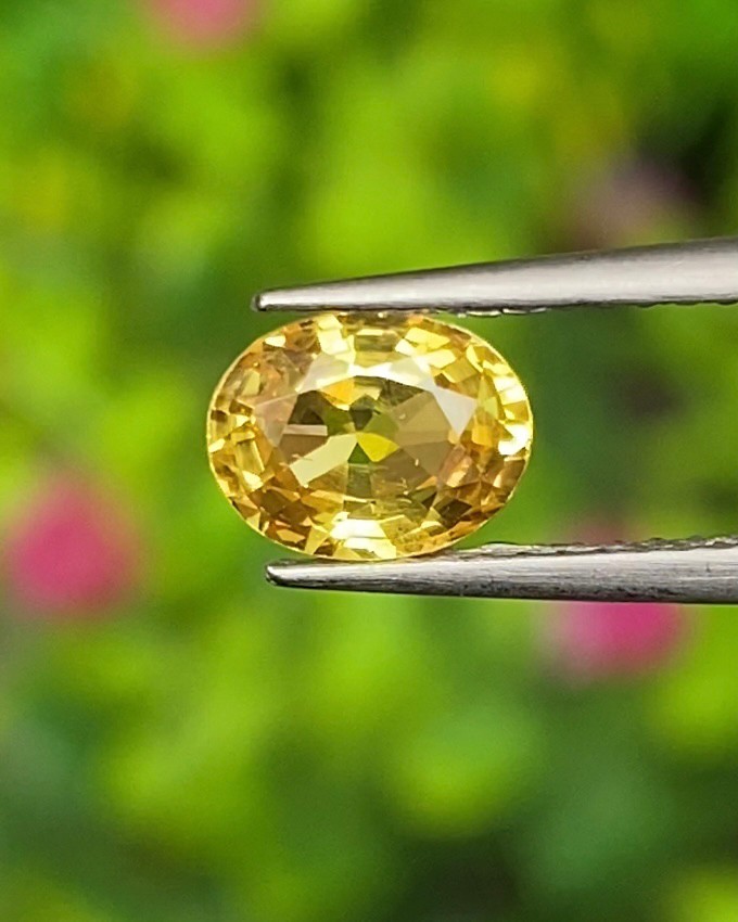 บุษราคัม (Yellow Sapphire)