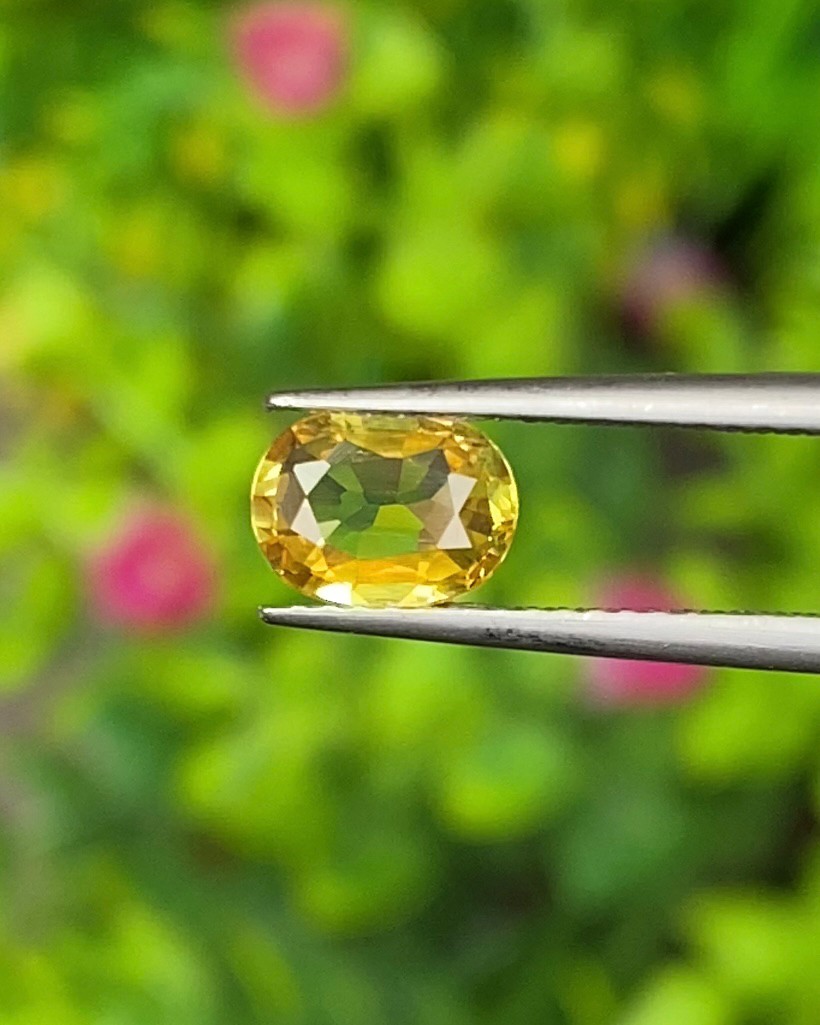 บุษราคัม (Yellow Sapphire)