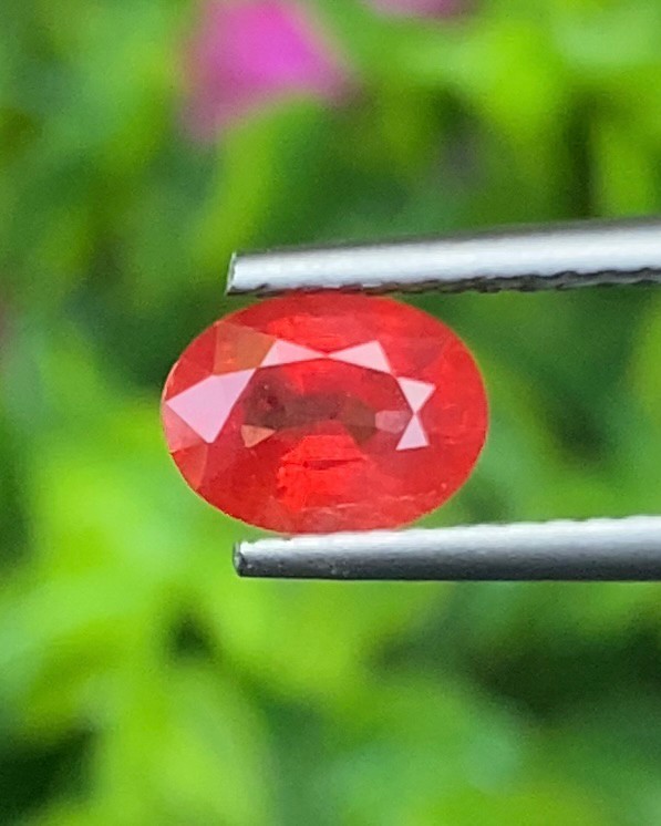ทับทิม Natural Ruby Sapphire