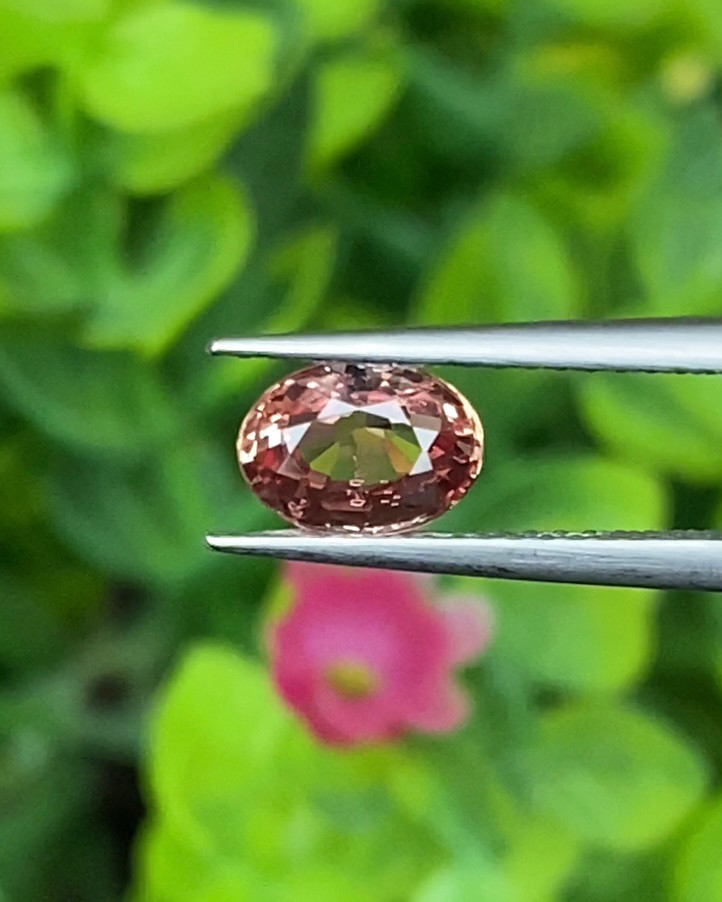 พัดพารัดชา Padparadscha Sapphire