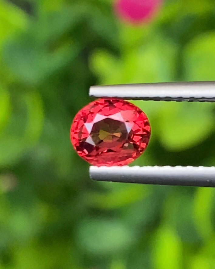 ทับทิม Natural Ruby Sapphire