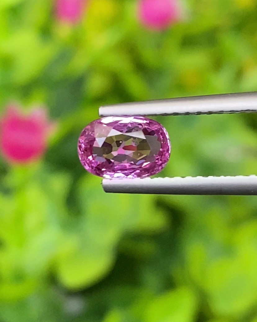 พลอย ชมพู Pink sapphire