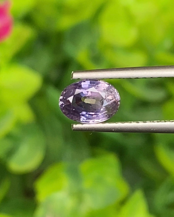 พลอย ม่วง Purple sapphire