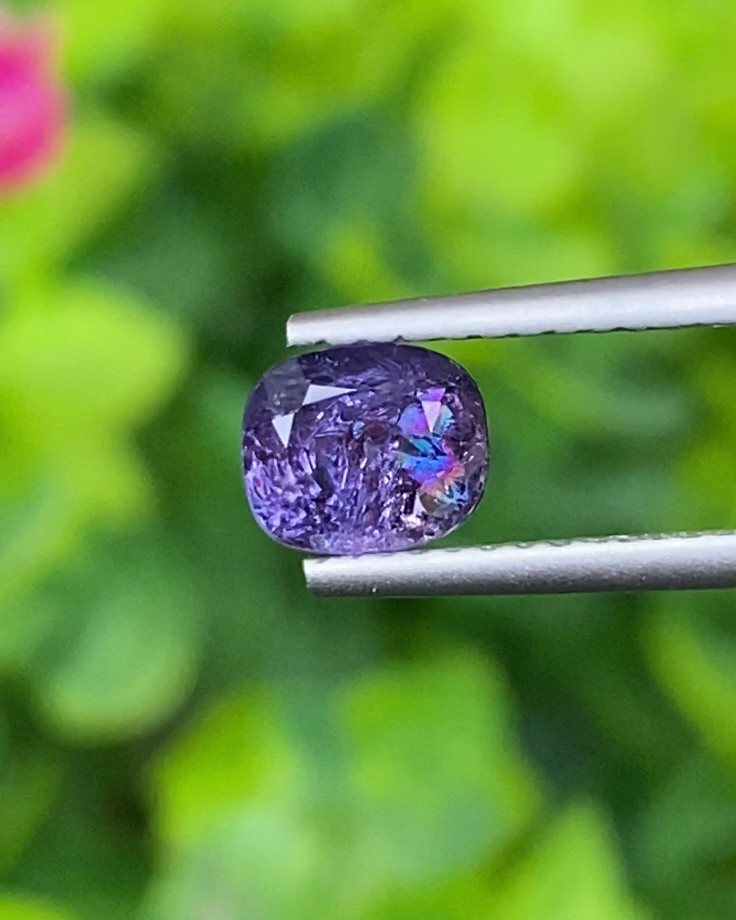 พลอย ม่วง Purple sapphire