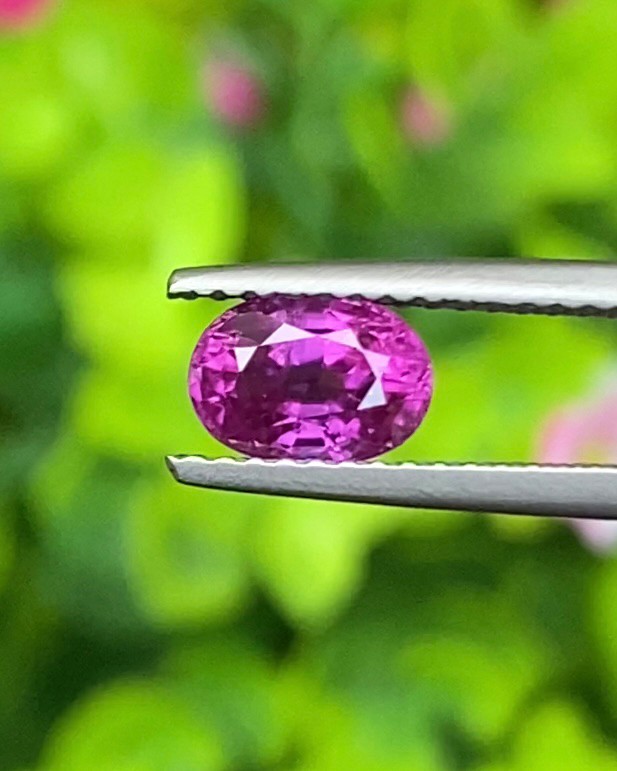 พลอย ชมพู Pink sapphire