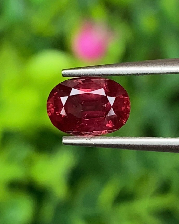 ทับทิม Natural Ruby Sapphire