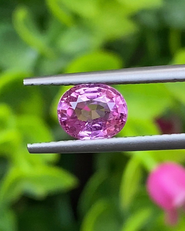 พลอย ชมพู Pink sapphire