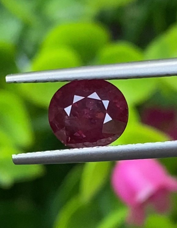 ทับทิม Ruby Sapphire
