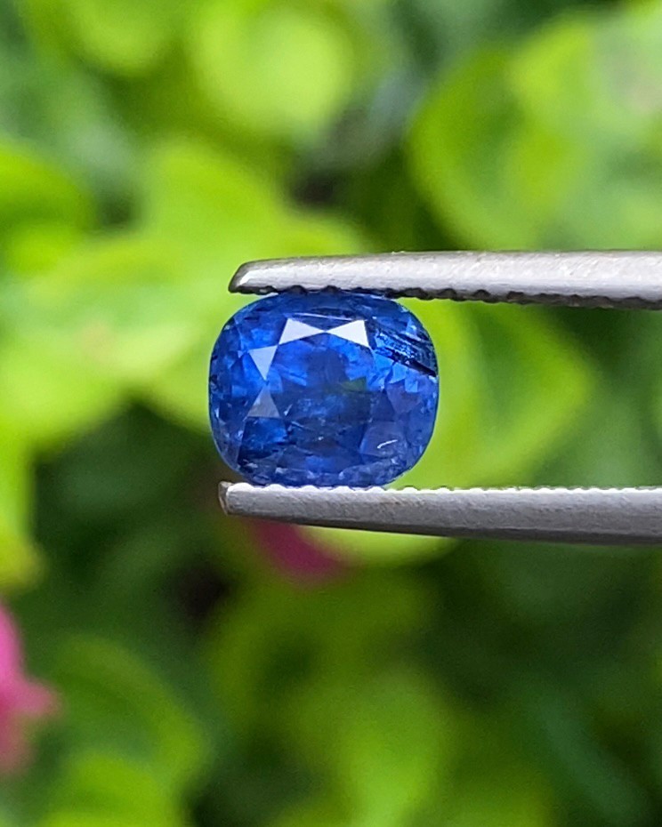 ไพลิน Natural Sapphire