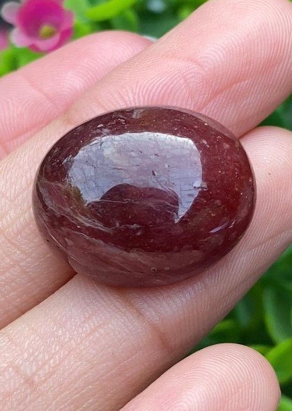 ทับทิม Natural Ruby Sapphire