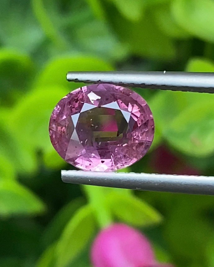 ทับทิม Ruby Sapphire