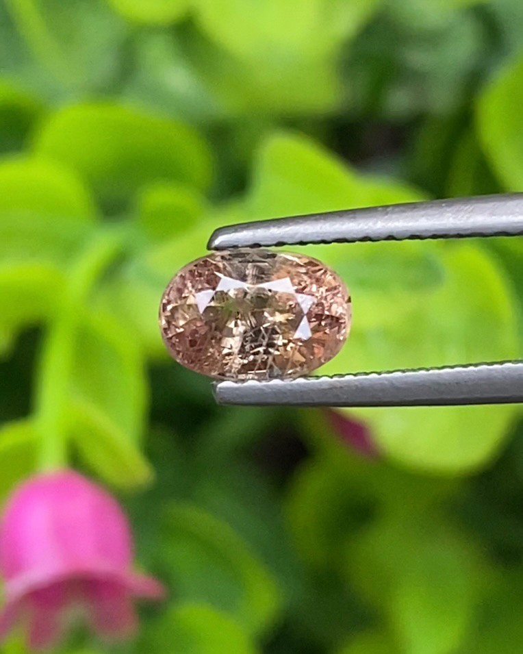 พลอย คัลเลอร์เชนจ์ แซฟไฟร์ Color Change sapphire