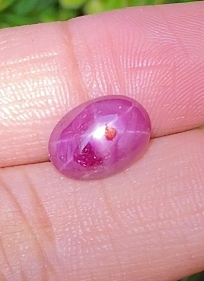 ทับทิม Natural Ruby Sapphire