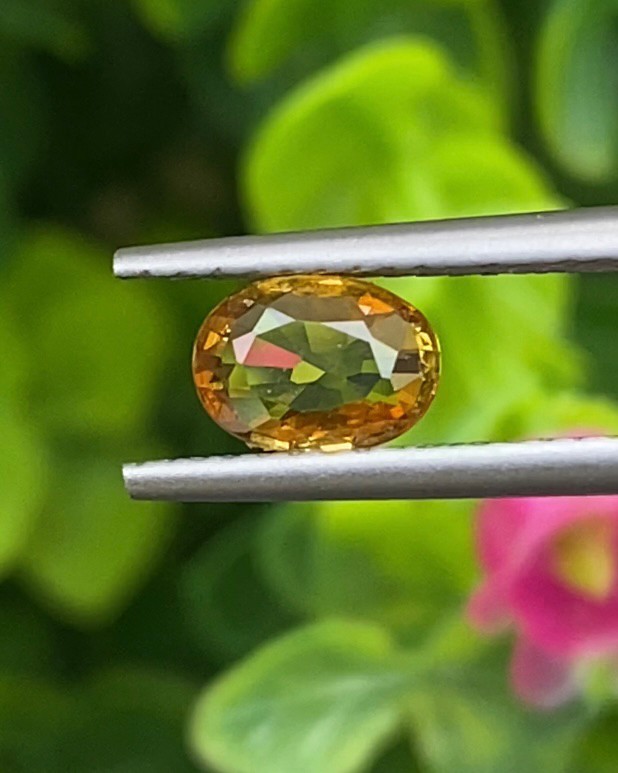 บุษราคัม Natural Yellow Sapphire
