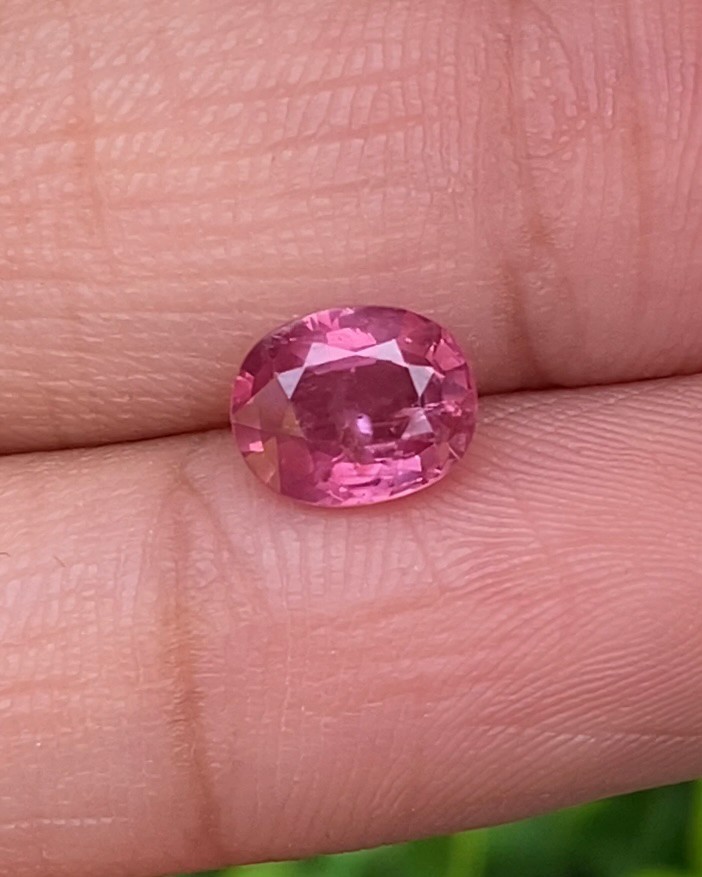 พลอย ชมพู Pink sapphire