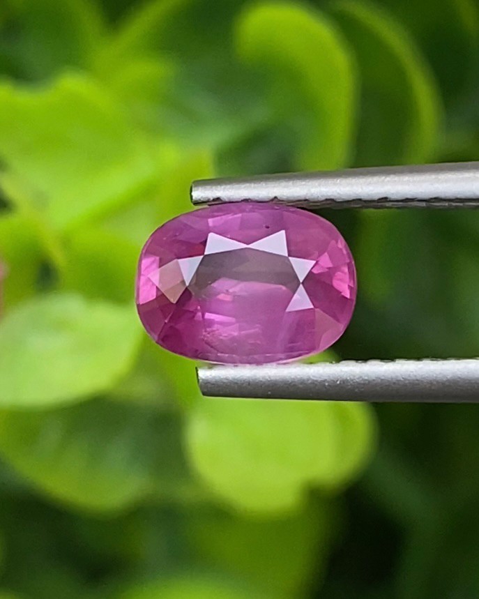 พลอย ชมพู Pink sapphire