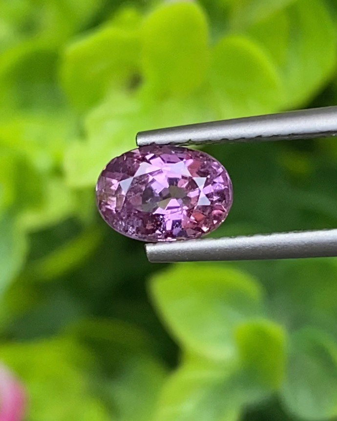 พลอย ชมพู Pink sapphire