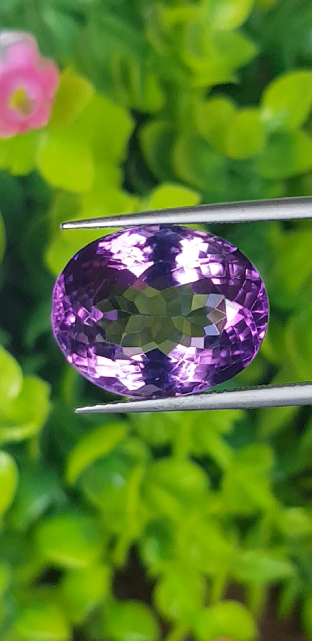 อเมทิส Natural Quartz (Amethyst)