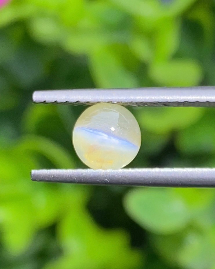 ตาแมว คริโซเบริล Cat eye Chrysoberyl