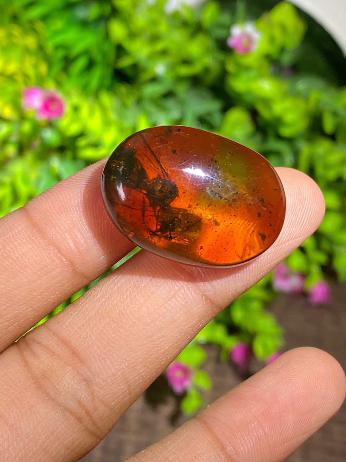 อำพัน Natural Amber