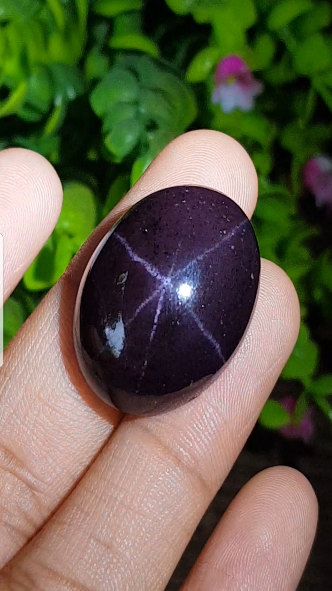 พลอย สตาร์ การ์เน็ต Star Garnet