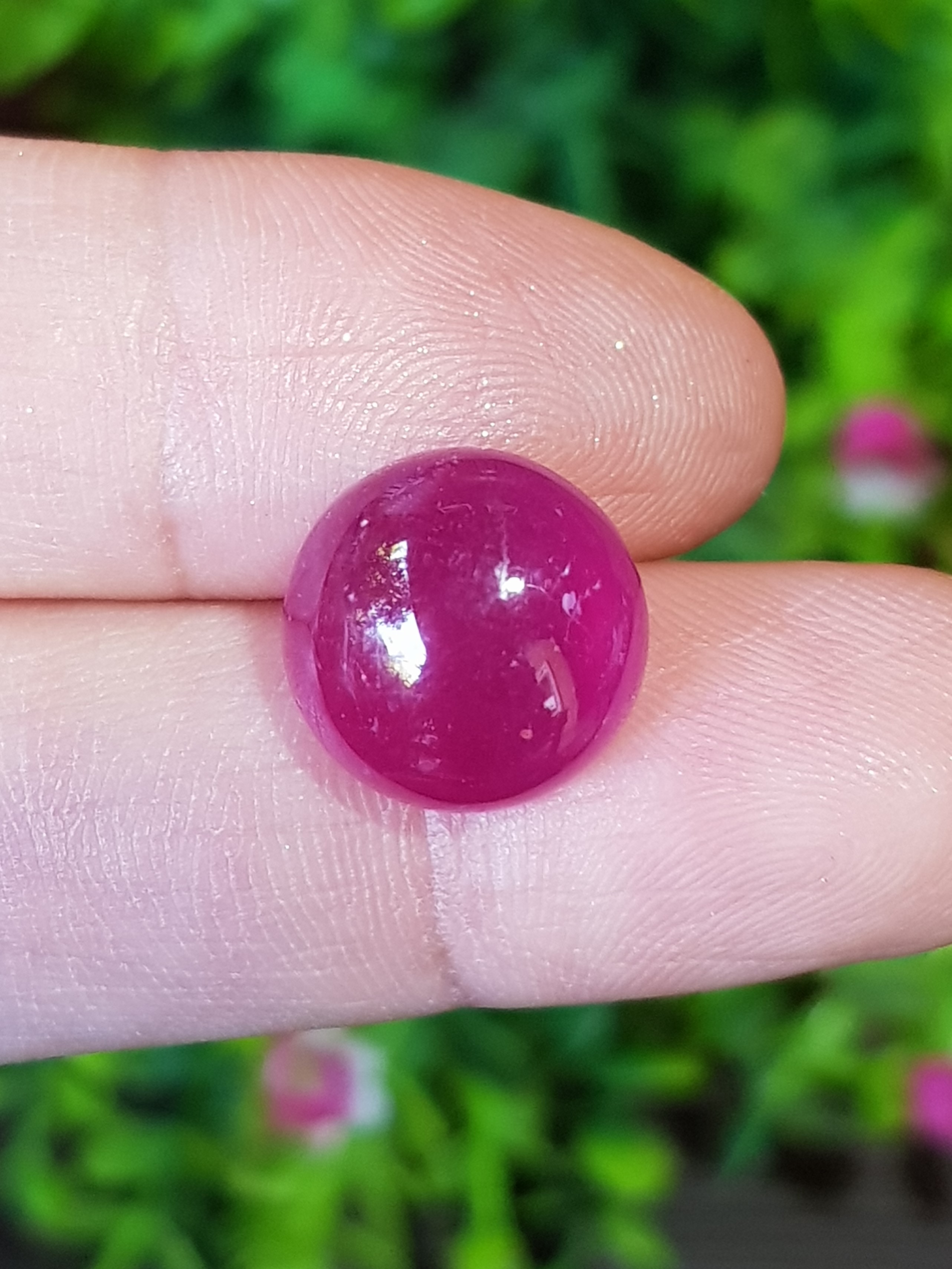 ทับทิม Natural Ruby Sapphire