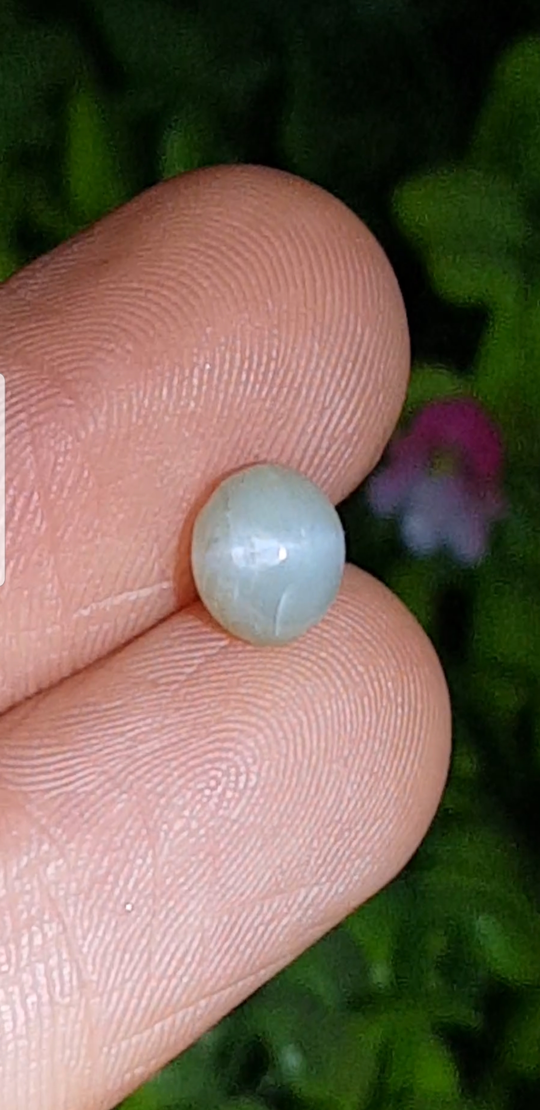 ตาแมว คริโซเบริล Cat eye Chrysoberyl