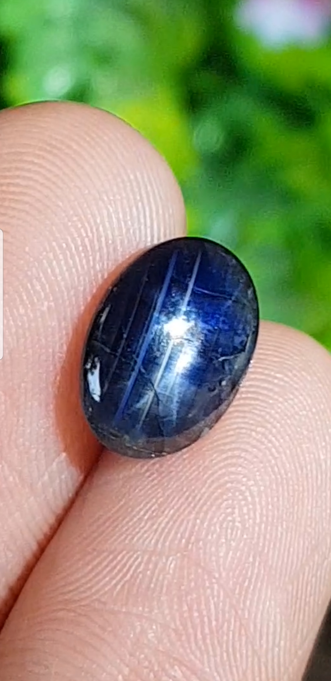 บลู สตาร์ แซฟไฟร์ Blue Star Sapphire