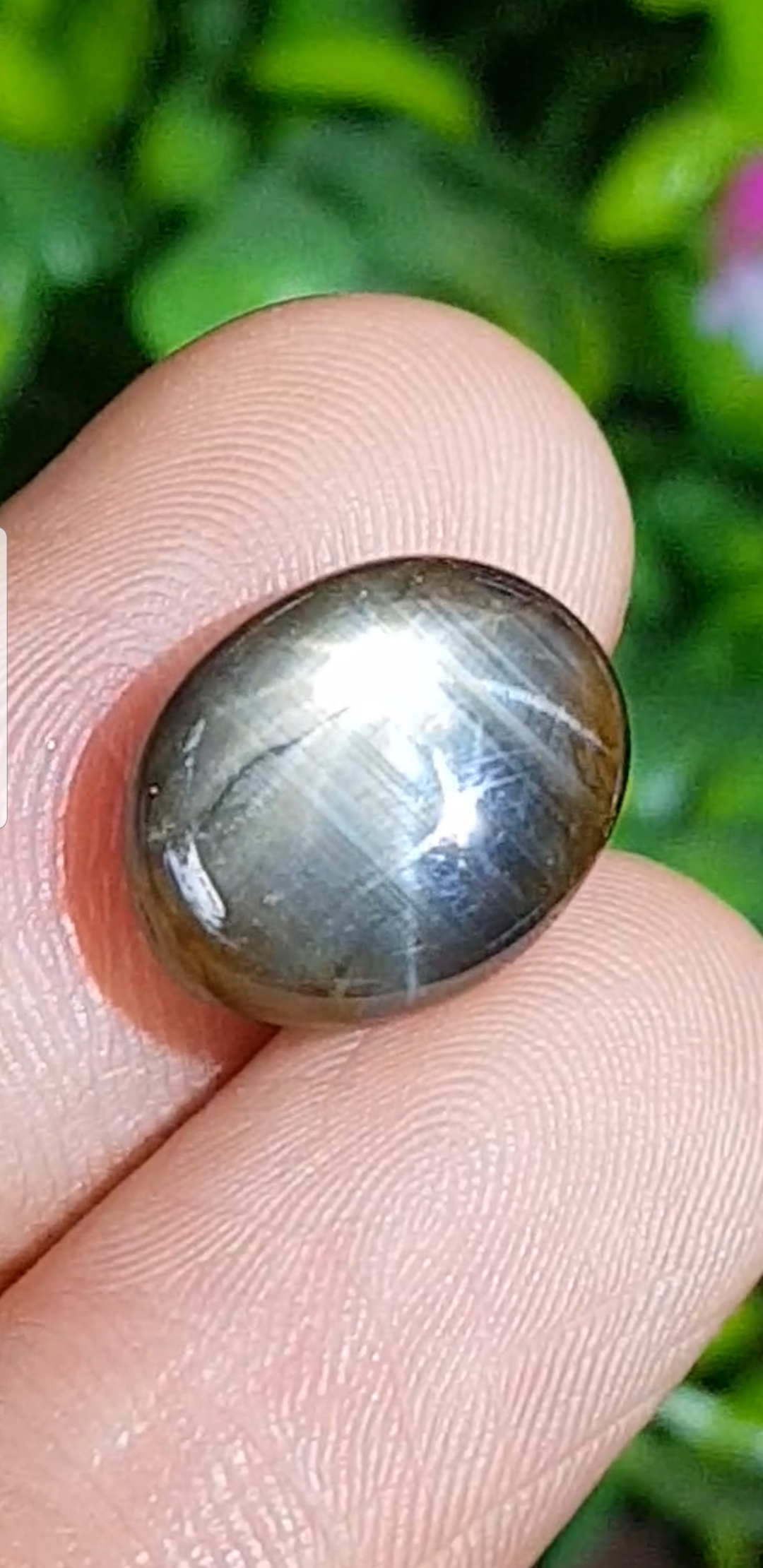 บลู สตาร์ แซฟไฟร์ Blue Star Sapphire