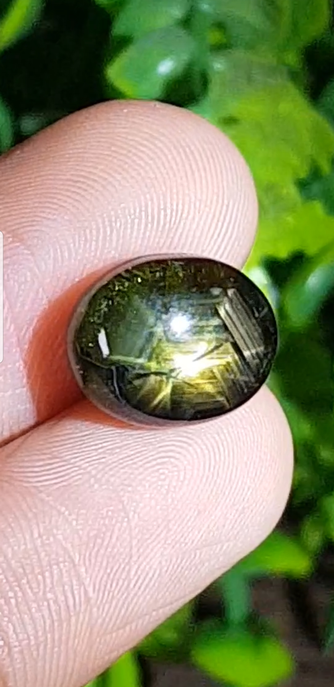 โกลด์ สตาร์ แซฟไฟร์ Gold Star Sapphire