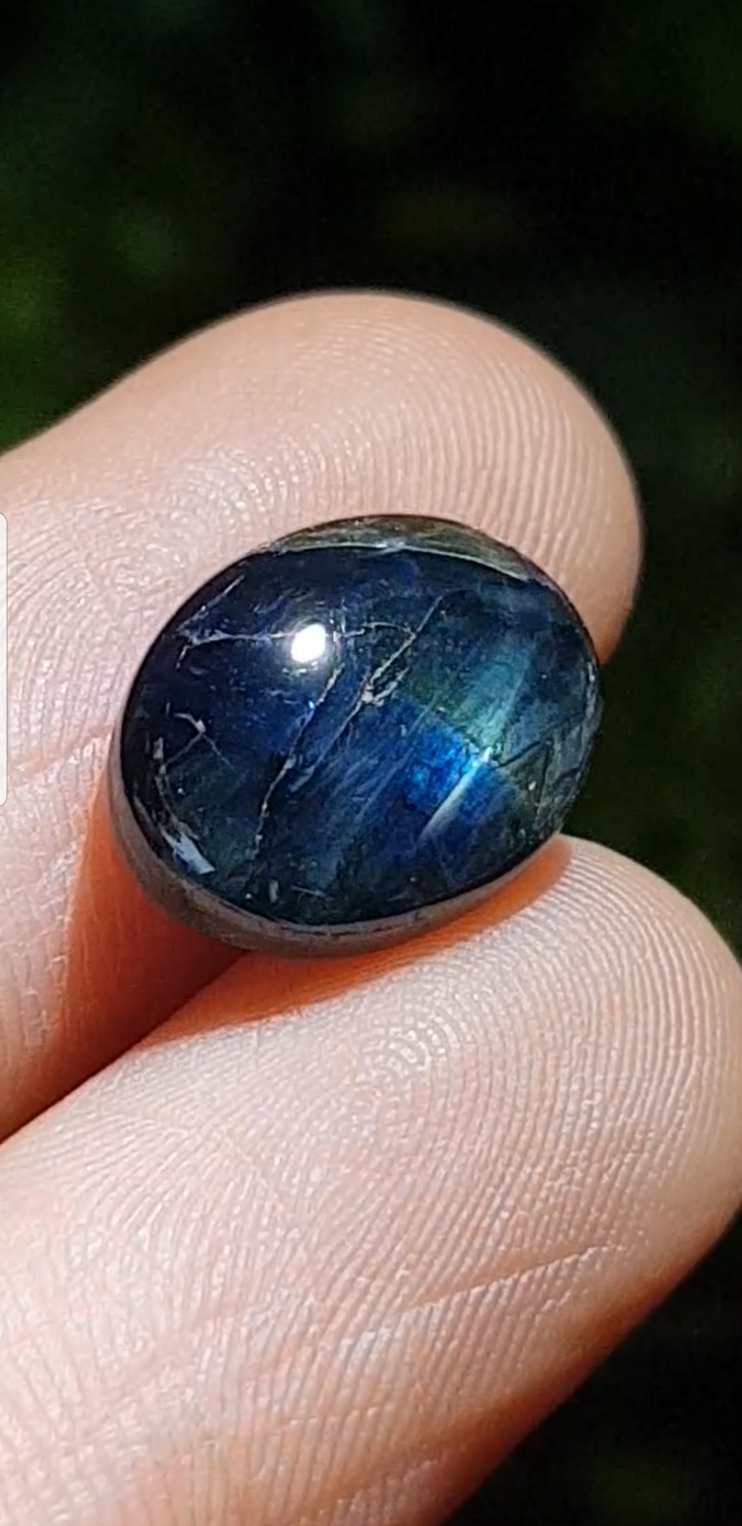 บลู สตาร์ แซฟไฟร์ Blue Star Sapphire