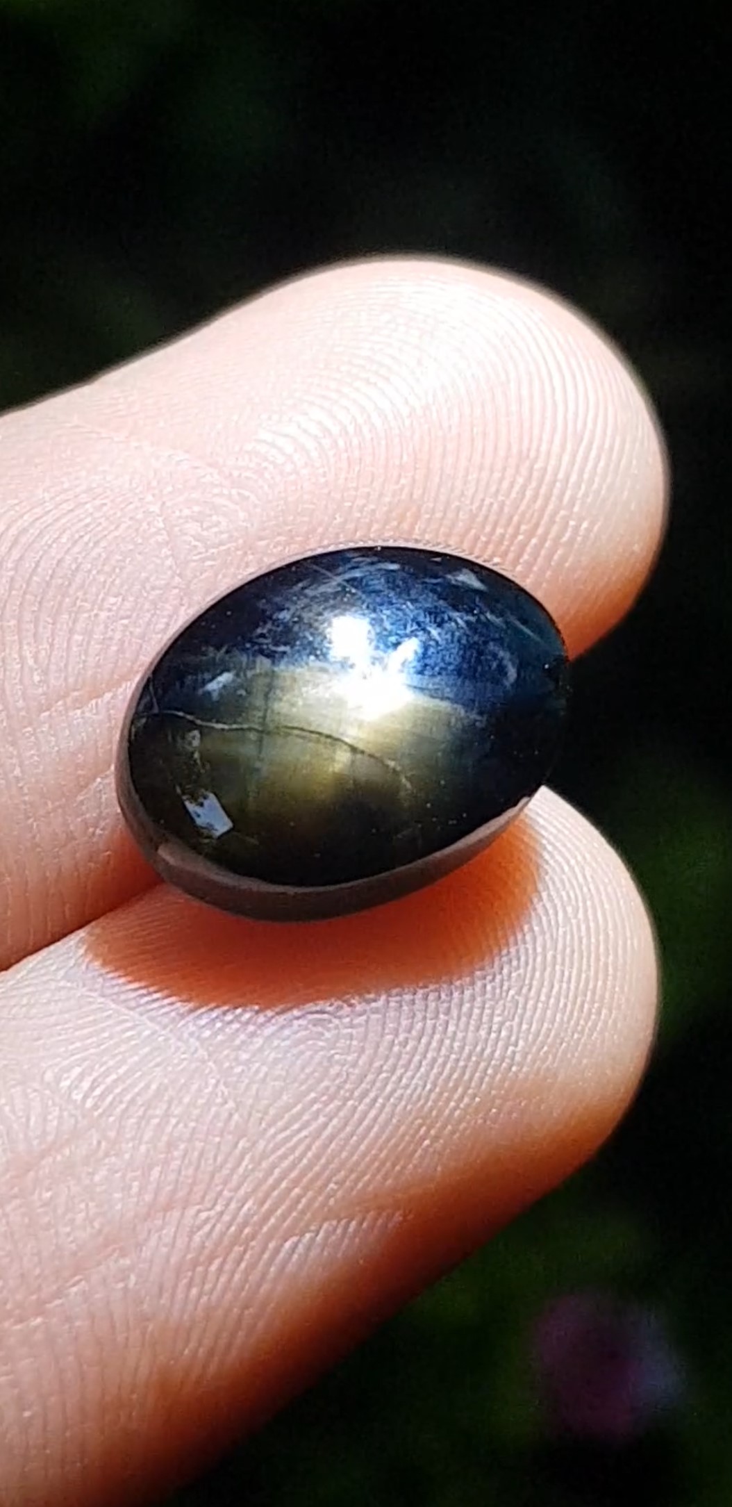 บลู สตาร์ แซฟไฟร์ Blue Star Sapphire