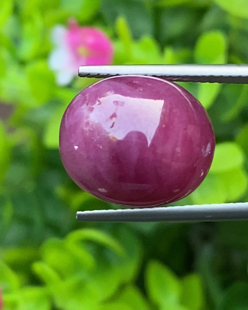 ทับทิม Natural Ruby Sapphire