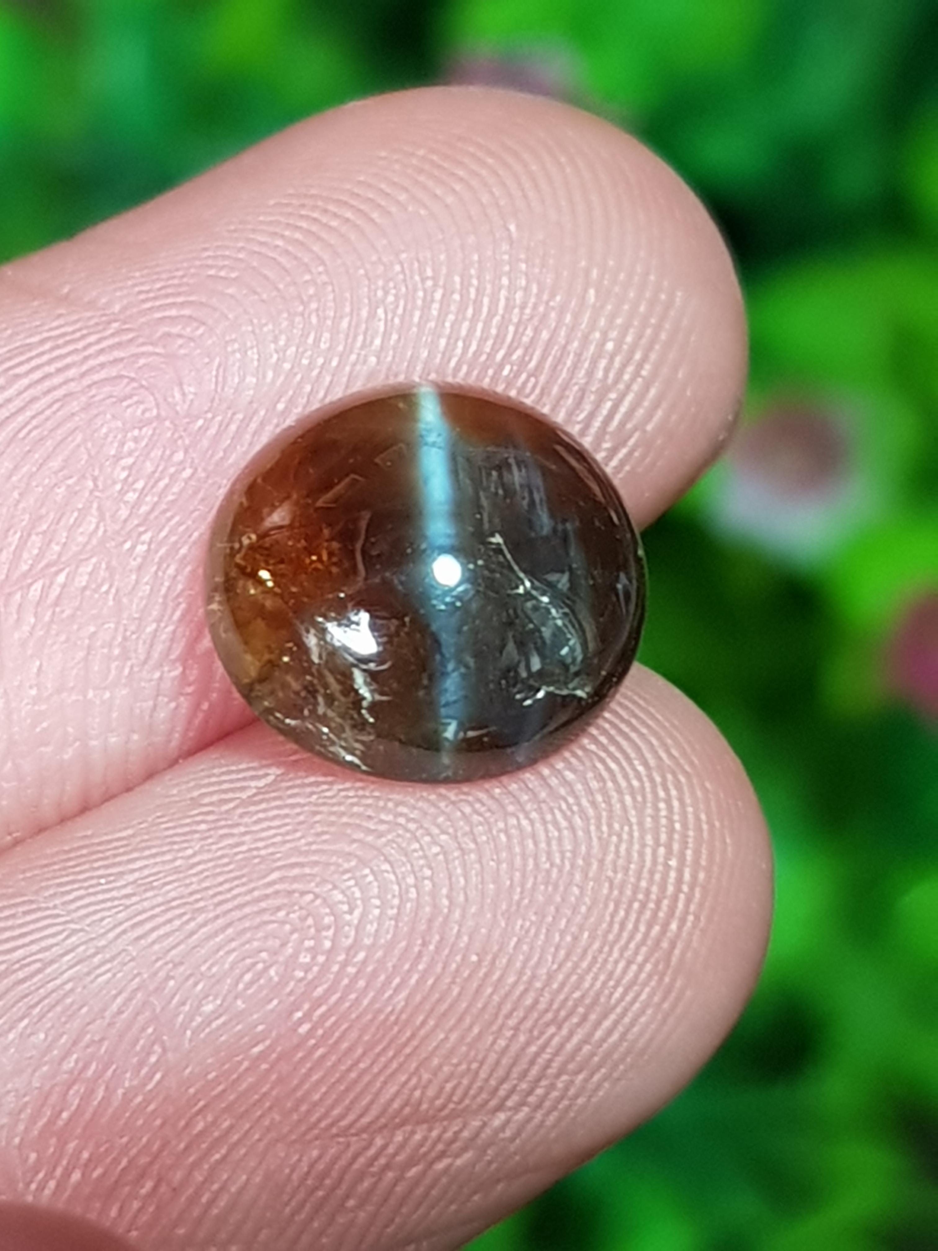 ตาแมว คริโซเบริล Cat eye Chrysoberyl