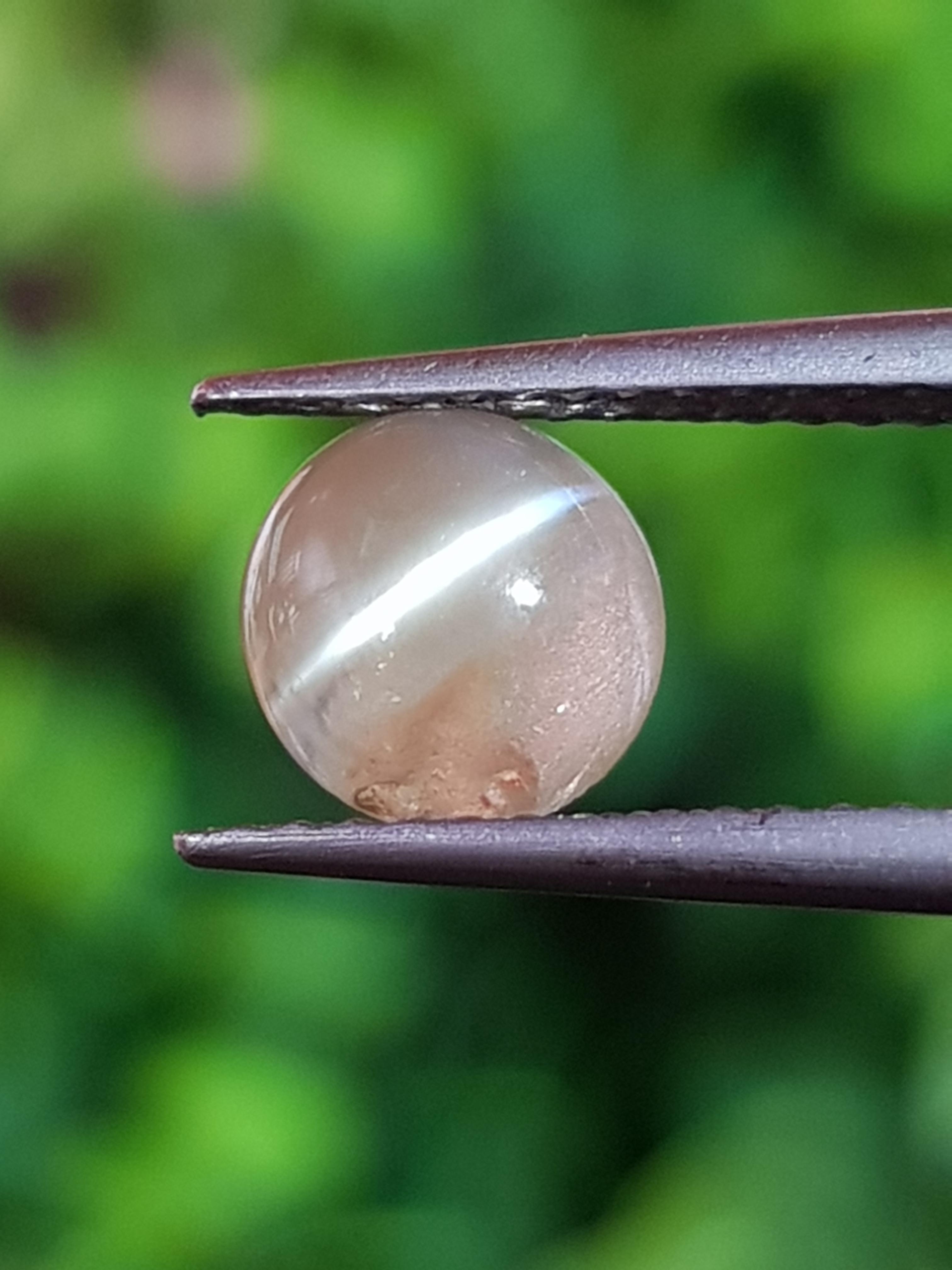 ตาแมว คริโซเบริล Cat eye Chrysoberyl