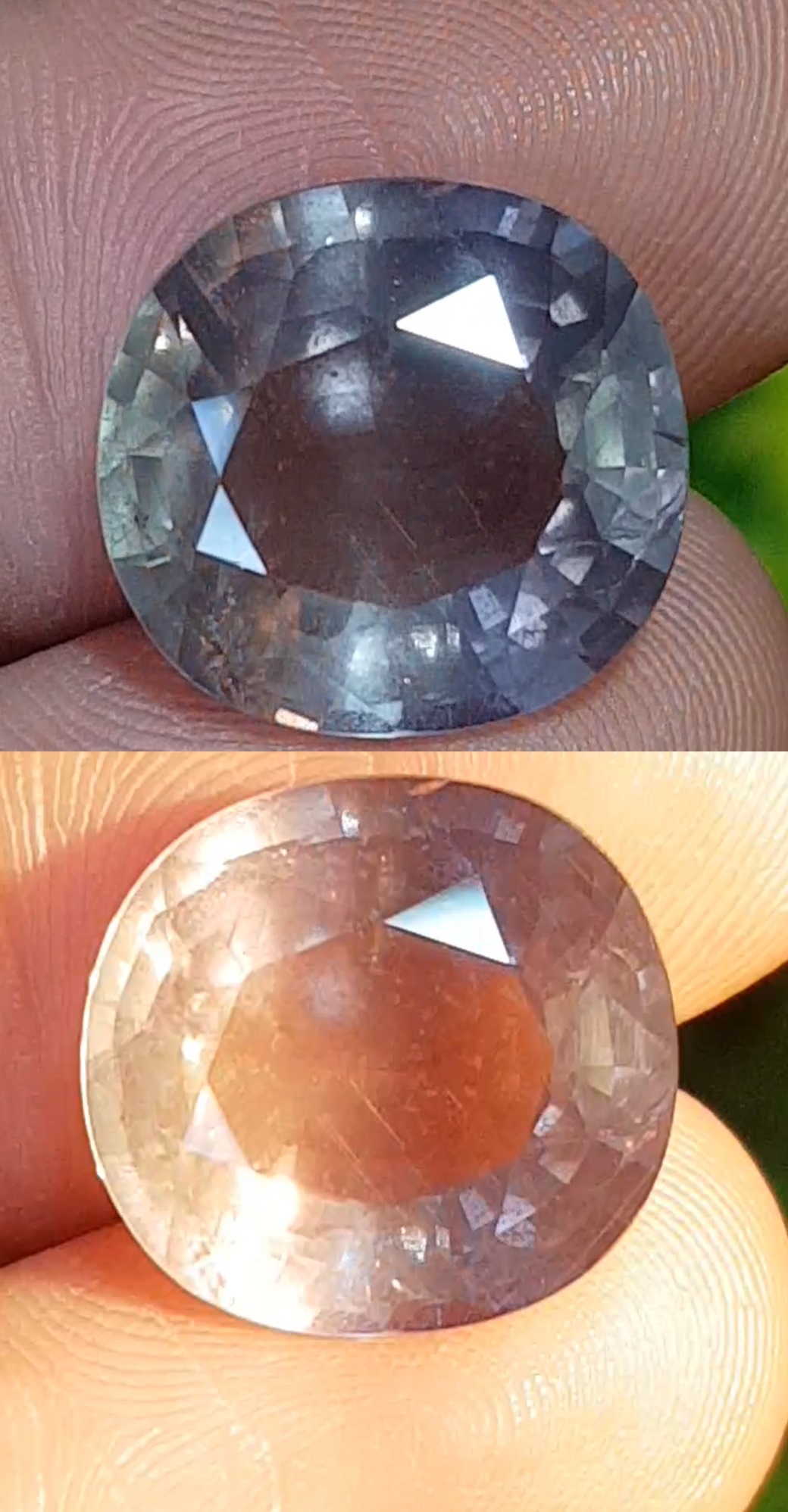 พลอย คัลเลอร์เชนจ์ แซฟไฟร์ Color Change sapphire