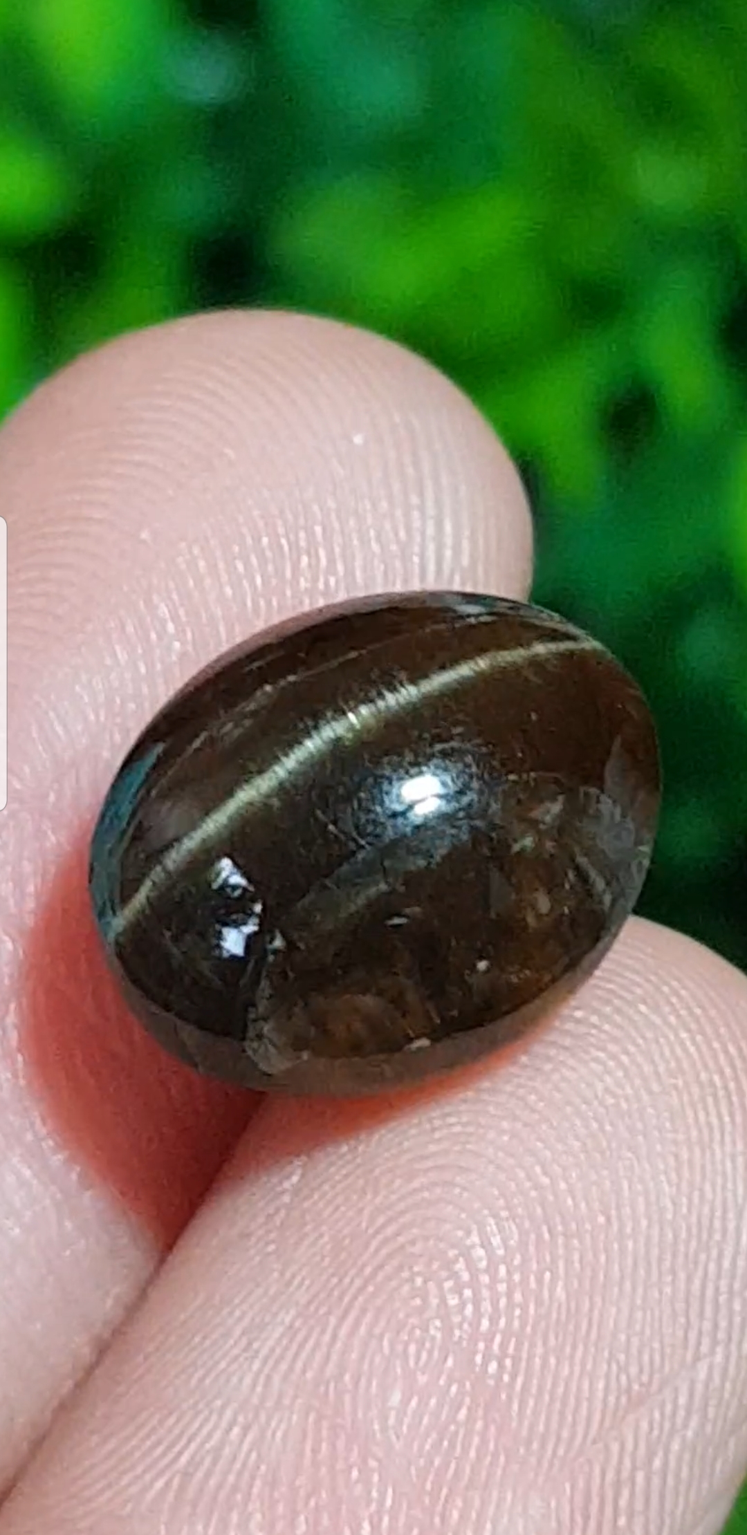 ตาแมว อะพาไทต์ Cat eye Apatite