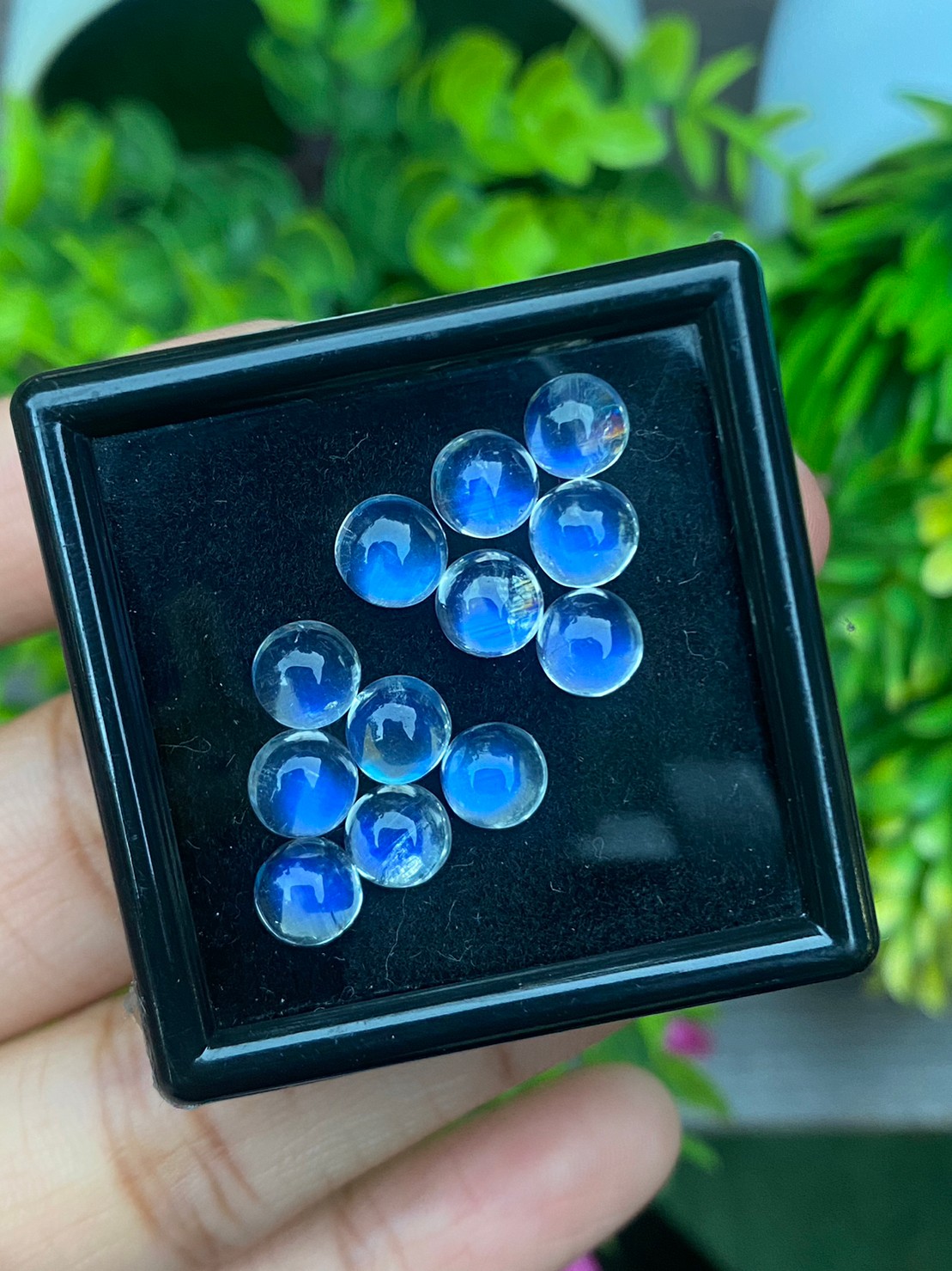 พลอย มุกดาหาร เรนโบว์ มูนสโตน Rainbow Moonstone