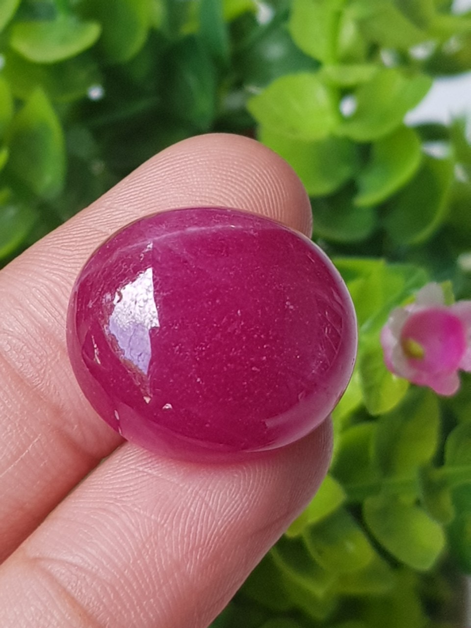ทับทิม Natural Ruby Sapphire