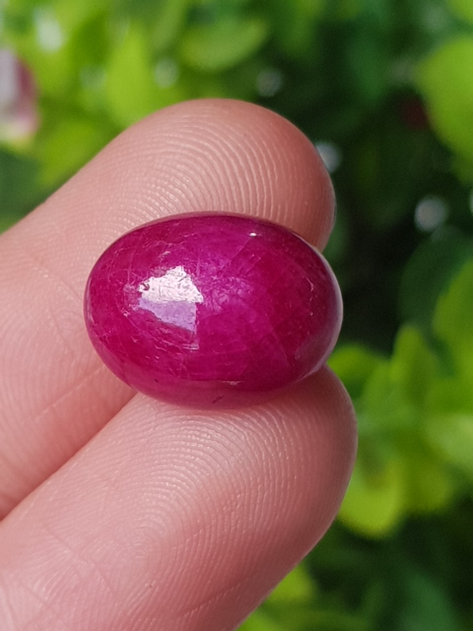 ทับทิม Natural Ruby Sapphire