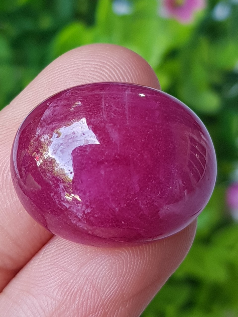 ทับทิม Natural Ruby Sapphire