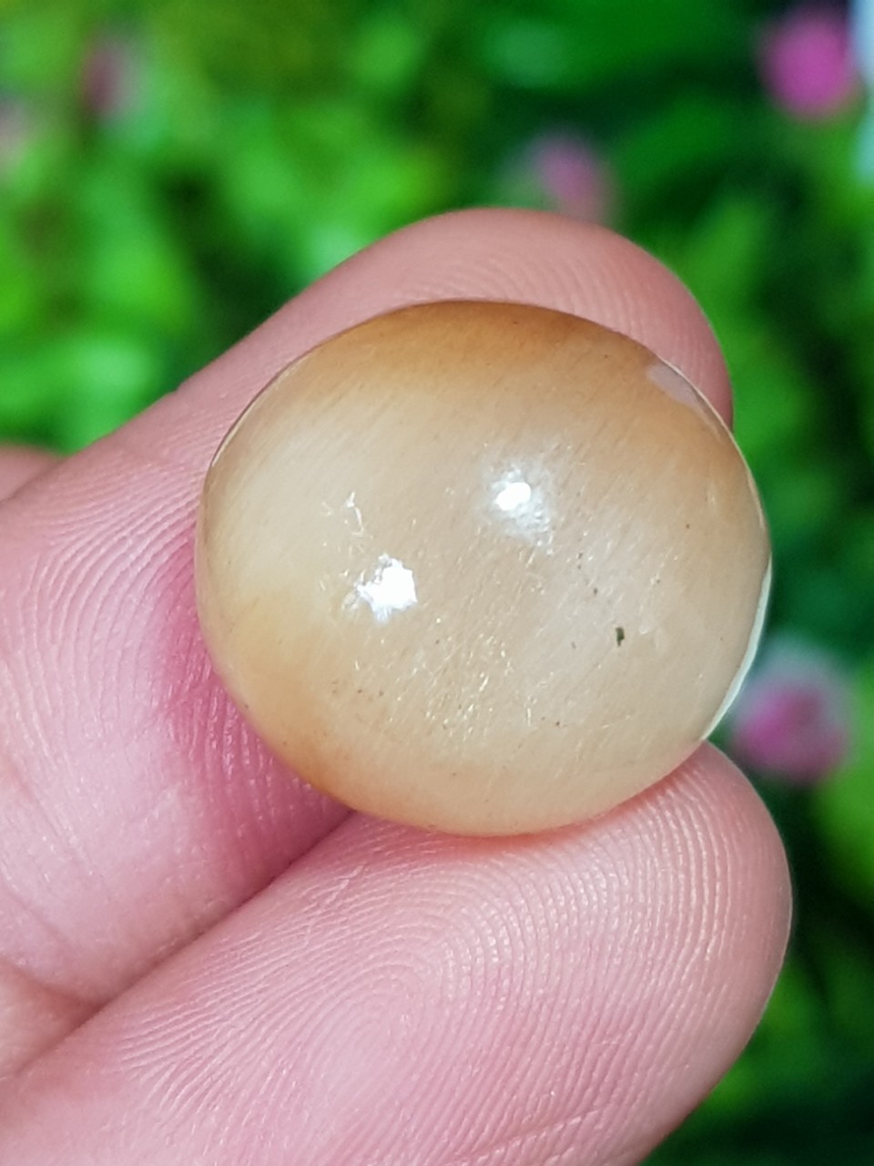 ไหม ควอตซ์ Rutilated Quartz