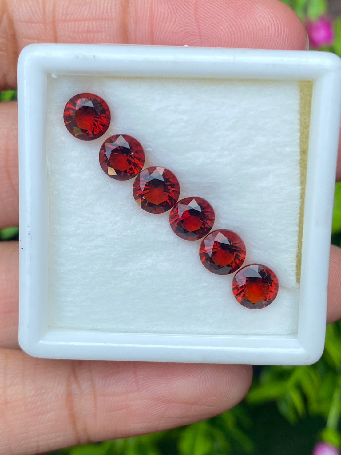 พลอย ซิทริน Citrine